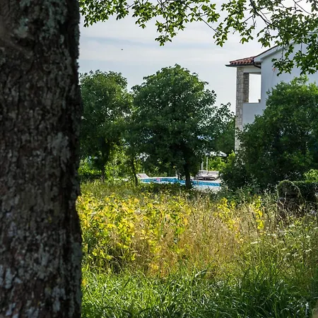Luksuzna S Bazenom Marija Klara Villa Ripenda Kras